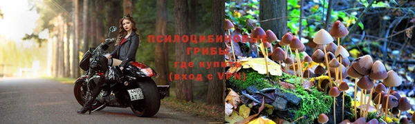 таблы Верея