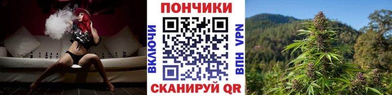 Канабис гибрид  Дмитров 